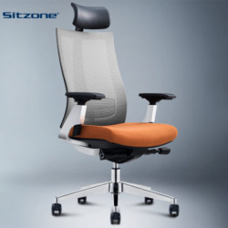 SITZONE 精壹 DS-203A 人体工学椅电脑椅
