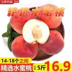 寻天果蔬  新鲜水蜜桃毛桃京东生鲜水果时令水果现摘现发 约2.5kg