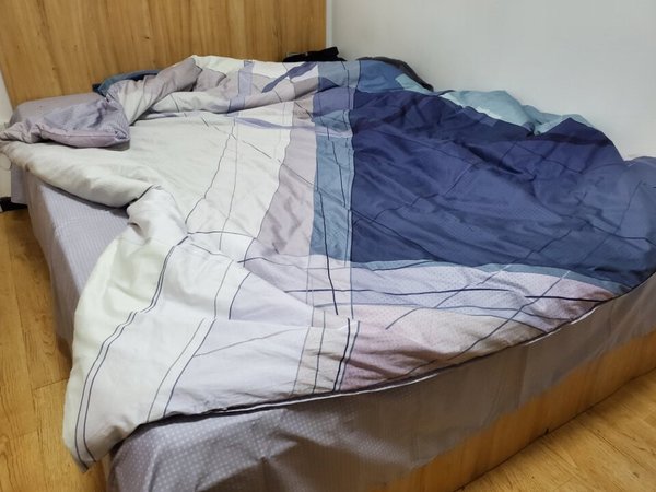 被子蛮好的，已经套被套了就懒得取出来再拍