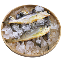 最渔 舟山小黄鱼 1kg