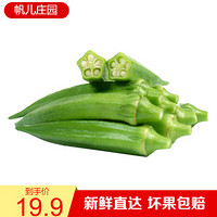 帆儿庄园 新鲜蔬菜 新鲜黄秋葵六角豆 水果秋葵 1.5kg *3件