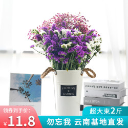 勿忘我干花超大花束云南基地直发满天星家居装饰摆设鲜花称斤卖 *6件