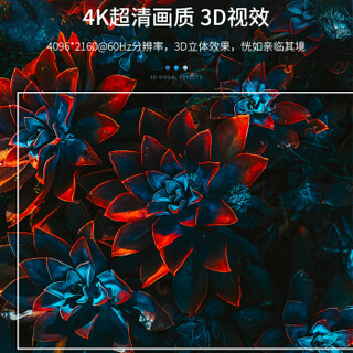 胜为（shengwei）光纤HDMI线2.0版4K高清线发烧工程级 电脑电视投影仪家庭影院3D视频连接线 10米 FHC-2010