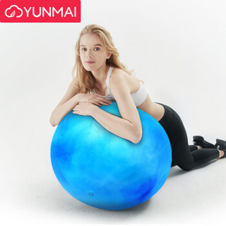 云麦YUNMAI瑜伽球 65cm加厚专业健身球 防滑防爆男女通用孕妇助产弹力球 赠全套充气装备 蓝白色