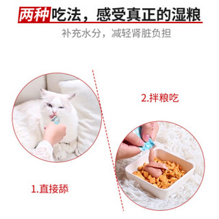 Navarch 耐威克 猫零食 金枪鱼猫条50g(10g*5支) 猫湿粮 成猫幼猫通用猫咪零食