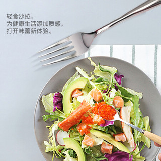 Fissler 菲仕乐 德国菲仕乐Fissler西各不锈钢刀叉四件套牛排刀西餐刀叉子餐具套装