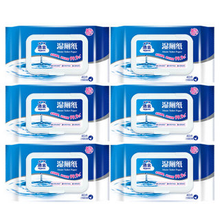 Hygienix 洁云 湿厕纸40片*6包 清洁湿纸巾湿巾 搭配卷纸卫生纸使用 擦屁屁专用