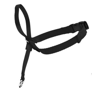 贝适安（PetSafe）狗狗头部牵引套装防爆冲宠物用品牵狗绳带拴遛绳子 S码 (11kg以下) 黑色