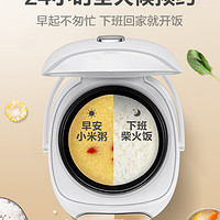 Midea 美的 迷你电饭煲多功能