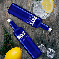 SKYY 深蓝 伏特加原味 原装进口洋酒鸡尾酒基酒 750ML*2瓶组套装