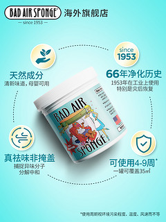 美国进口Bad Air Sponge 甲醛装修汽车异味空气净化剂 400g*12罐