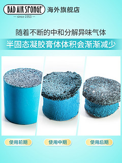 美国进口Bad Air Sponge 甲醛装修汽车异味空气净化剂 400g*12罐