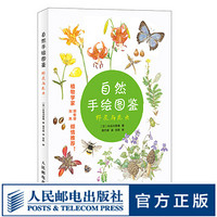 自然手绘图鉴野花与昆虫 植物图鉴植物百科全书植物书籍花朵的秘密生命植物大全科普书籍