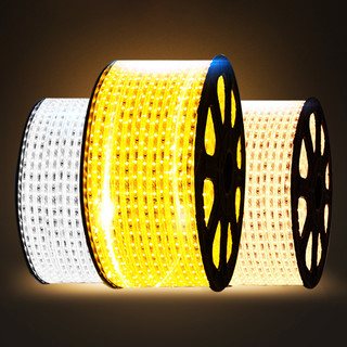 雷士 NVC   Lighting照明led灯带客厅家用超亮霓虹七彩变色线灯户外防水灯条220V