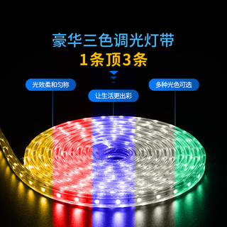雷士 NVC   Lighting照明led灯带客厅家用超亮霓虹七彩变色线灯户外防水灯条220V