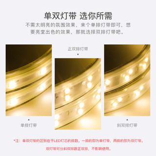 雷士 NVC   Lighting照明led灯带客厅家用超亮霓虹七彩变色线灯户外防水灯条220V