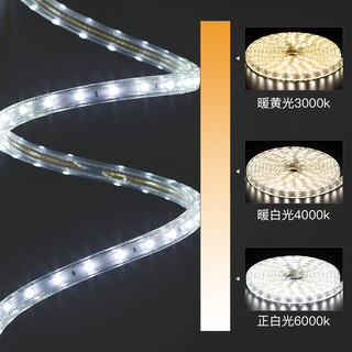 雷士 NVC   Lighting照明led灯带客厅家用超亮霓虹七彩变色线灯户外防水灯条220V