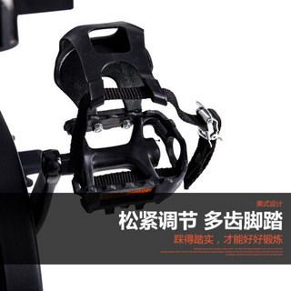 岱宇（DYACO）健身车动感单车家用立式健身车FS318 FS318原装进口