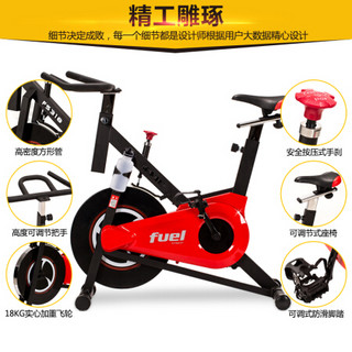 岱宇（DYACO）健身车动感单车家用立式健身车FS318 FS318原装进口