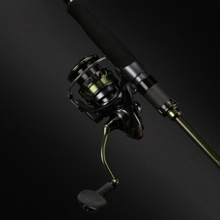商品daiwa达亿瓦 2019新款 lukina 路亚套装 纺车轮水滴轮渔具套装