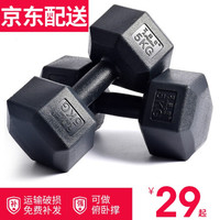 艾美仕（AiMeiShi） 艾美仕环保包胶六角哑铃男士5kg10kg20kg家用健身器材 6KG单只