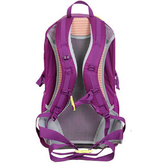 SCALER思凯乐户外登山包徒步背包透气防水骑行包徒步旅行双肩背包Z9334173 紫色 40L