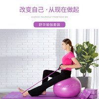 舒华（SHUA）瑜伽垫瑜伽球瑜伽砖弹力带伸展带拉力器普拉提套装 新品上市