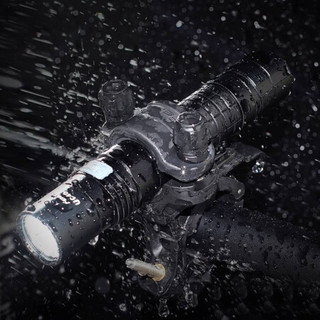 FENIX ALB-10骑行手电夹快拆式自行车灯架手电筒支架自行车配件 ALB-10车夹不含电筒