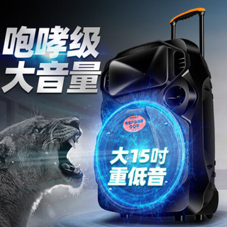 SANSUI 山水 A15-66 15英寸广场舞音响 便携式户外音响大功率移动蓝牙户外舞台音响音箱 豪华版（拉杆音箱+1个话筒+1个遥控器）
