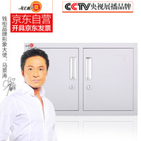 钱柜 矮柜储物柜 文件柜铁皮柜办公柜档案柜资料柜小柜子 带锁 420横双门柜