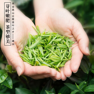 越乡 绿茶2020新茶500g散装浓香型茶叶正宗明前高山云雾绿茶茗茶纸袋装