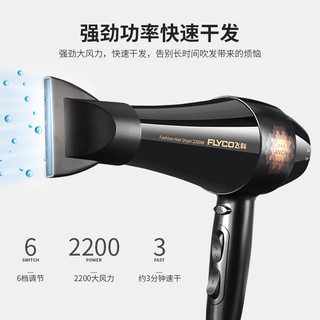 飞科电吹风机家用理发店风力大功率负离子不伤发学生宿舍发廊专用