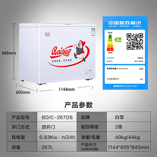 白雪(BAIXUE)BD/C-267DS 大容量 冷冻冷藏转换冷柜 冰柜商用家用