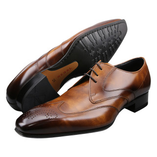 商品regal丽格春季新品商务正装日本制男鞋德比男士皮鞋w25d