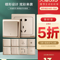 施耐德开关插座面板轻逸金二三插5五孔一二三四开单双控电脑组合