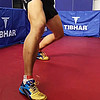 TIBHAR 挺拔 德国挺拔乒乓球鞋男鞋女鞋专业乒乓球运动鞋训练鞋新T飞翔