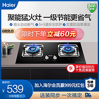 Haier 海尔 燃气煤气双灶