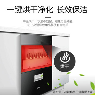 sacon 帅康 DS1消毒柜家用厨房小型餐具碗筷柜嵌入式高温臭氧大容量25