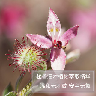  WELEDA/维蕾德 98083 强健牙龈 成人牙膏