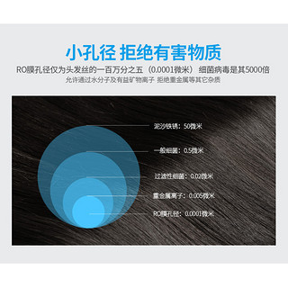 荣事达家用净水器纯水机滤芯ro膜反渗透0.0001微米50-75G通量10寸