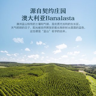 阿芙 AFU尤加利精油10ml 桉树香薰疏通毛孔面部脸部官方旗舰店正品
