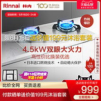 Rinnai/林内 2E02SM 燃气灶双灶嵌入式天然气灶具家用节能猛火灶