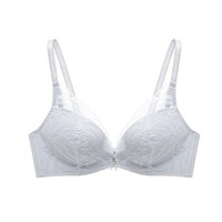 加一尚品蕾丝内衣女无钢圈小胸聚拢文胸调整型收副乳不空杯胸罩