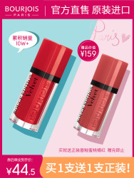 BOURJOIS 妙巴黎 官方正品天鹅绒唇釉唇彩专柜女19/12/33/15雾面哑光不沾杯