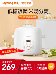 九阳迷你电饭煲小家用多功能全自动2L智能电饭锅1-2人型低糖饭煲