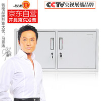 钱柜文件柜铁皮柜矮柜储物柜办公柜资料柜凭证柜 450雅白二门柜