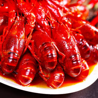 星农联合红小厨 麻辣小龙虾1.5kg 6-8钱/18-25只 净虾750g 火锅食材 海鲜水产