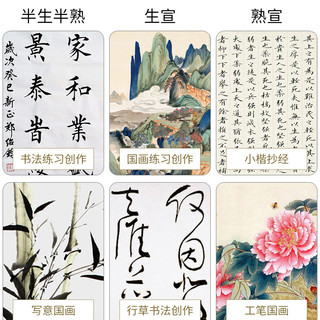六品堂半生半熟宣纸100张书法专用纸作品纸国画工笔画初学者书法专用练习生宣纸熟宣纸写毛笔字四尺练字对开 加厚作品纸四尺单（69*138cm  100张） 生宣【适用于：国画写意画、山水泼墨画、书法作品用】