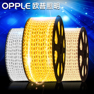 欧普照明 OPPLE欧普led智能灯带三色变色软灯条霓虹七彩客厅吊顶装饰贴片线条灯 8档调色【48珠】需买6号配件包