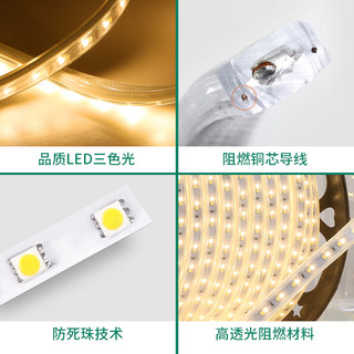 奥朵灯带led三色超亮家用变色跑马霓虹灯条户外防水吊顶线灯220v FS1003C 其它 其它